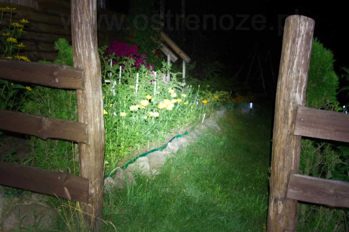 sunree_ifishing - zdjęcie 2 (Opis)