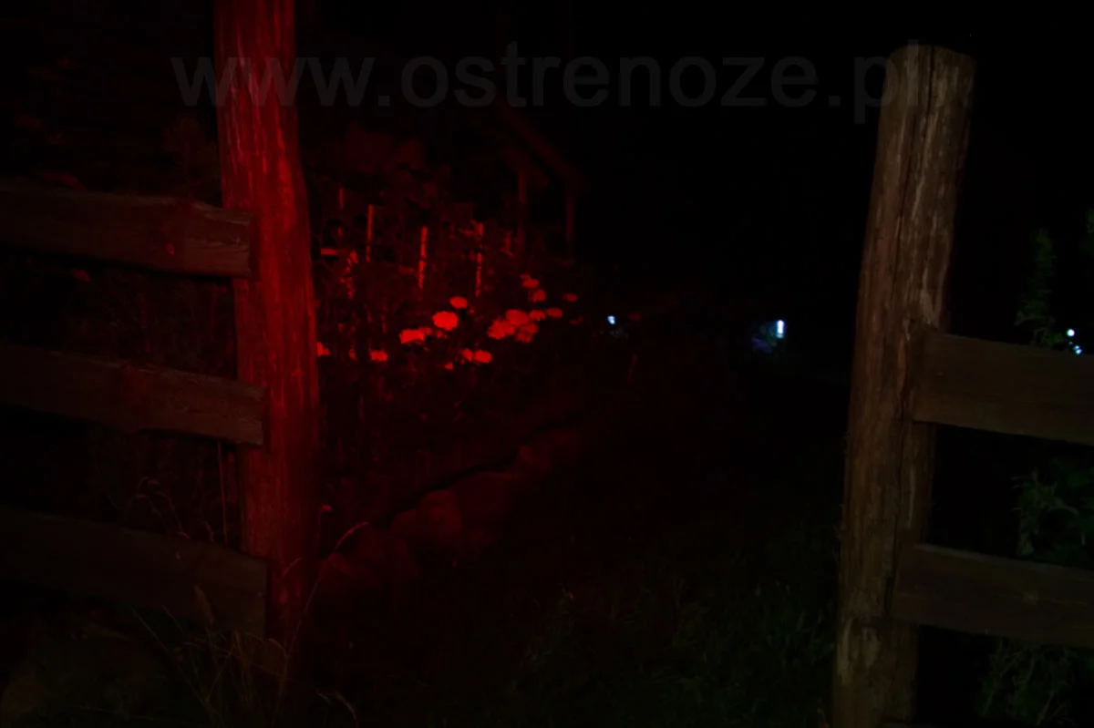 sunree_lala_morski - zdjęcie 10 (Opis)