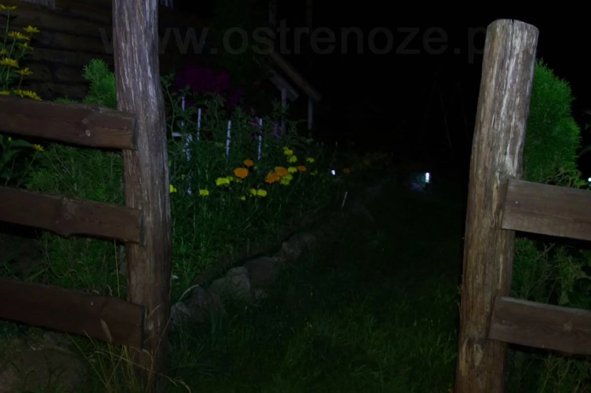 sunree_zengto3 - zdjęcie 9 (Opis)